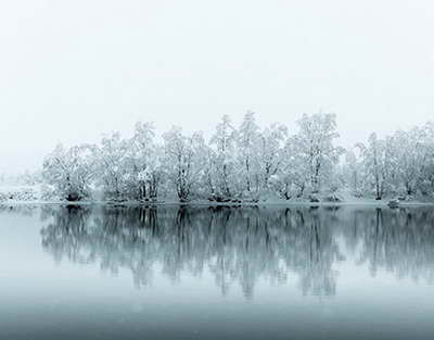 Мемлекет басшысы: «Жаңа Конституция – Тәуелсіздік пен егемендік тірегі»