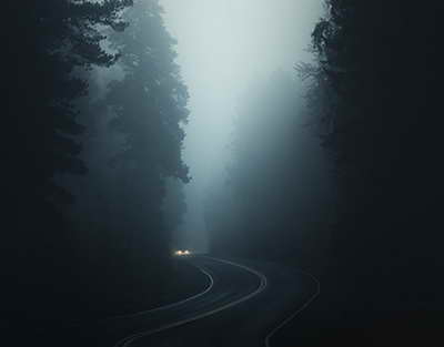 Импорт российской пшеницы вырос в Казахстане