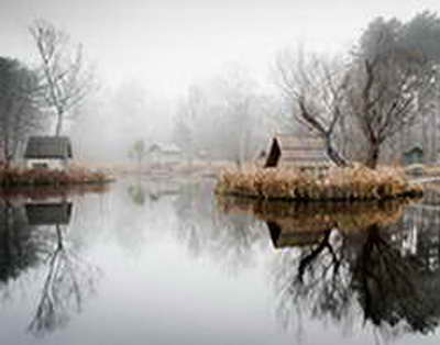 Чому Україні конче необхідне радикальне підвищення штрафів за швидкість