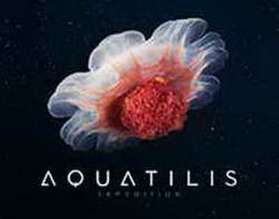 Әр 100 баланың бірі: Қазақстанда аутизмді анықтау қалай жүргізіледі